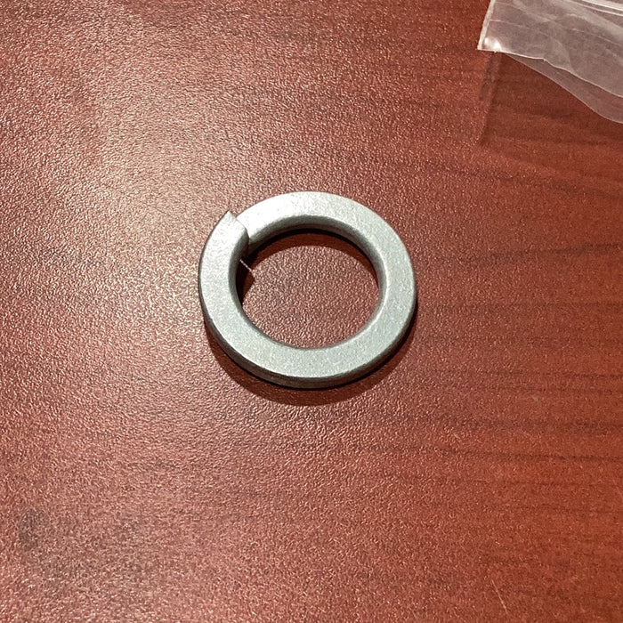 LS Spring Washer 40230899