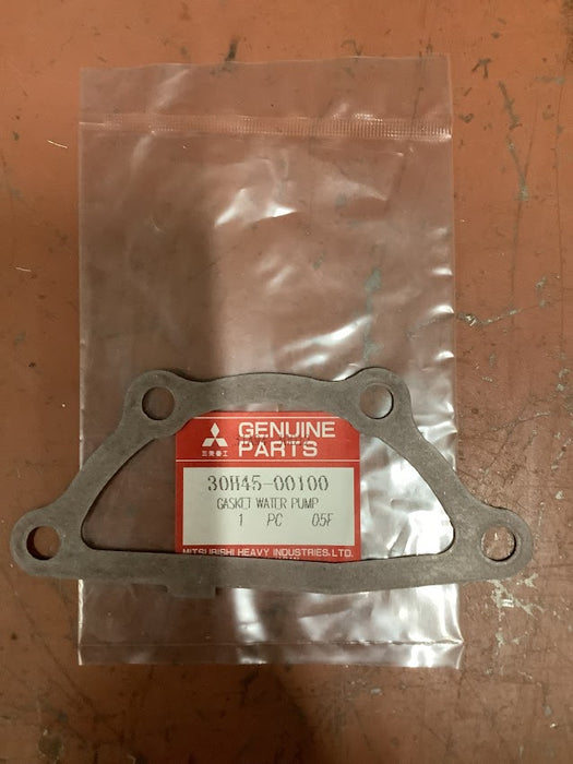 Mahindra Water Pump Gasket